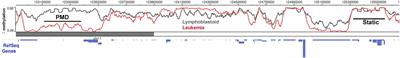 DNA Methylation, Nuclear Organization, and Cancer